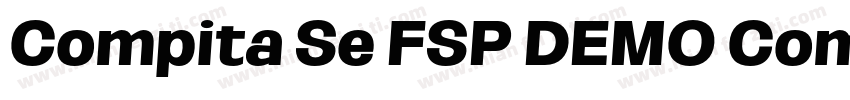 Compita Se FSP DEMO Compita BoldmiB字体转换